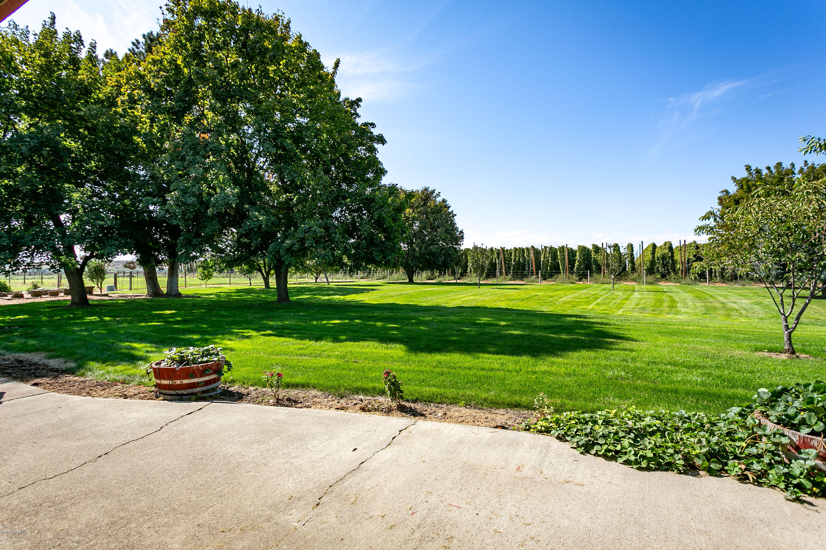 2770 South Satus Road Toppenish, WA 98948 - Photo 26 of 41 a garden with trees in the background
