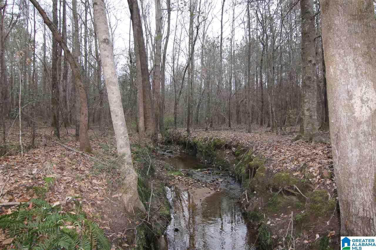 500 Lil Beaver Road, Unit 260 AC Daviston, AL 36256 - Photo 9 of 20