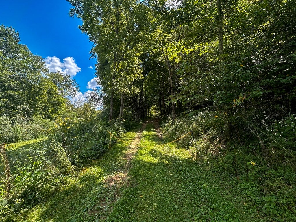26-acres Tobler Road Rural Retreat, VA 24368 - Photo 2 of 60 Gallery Image 2