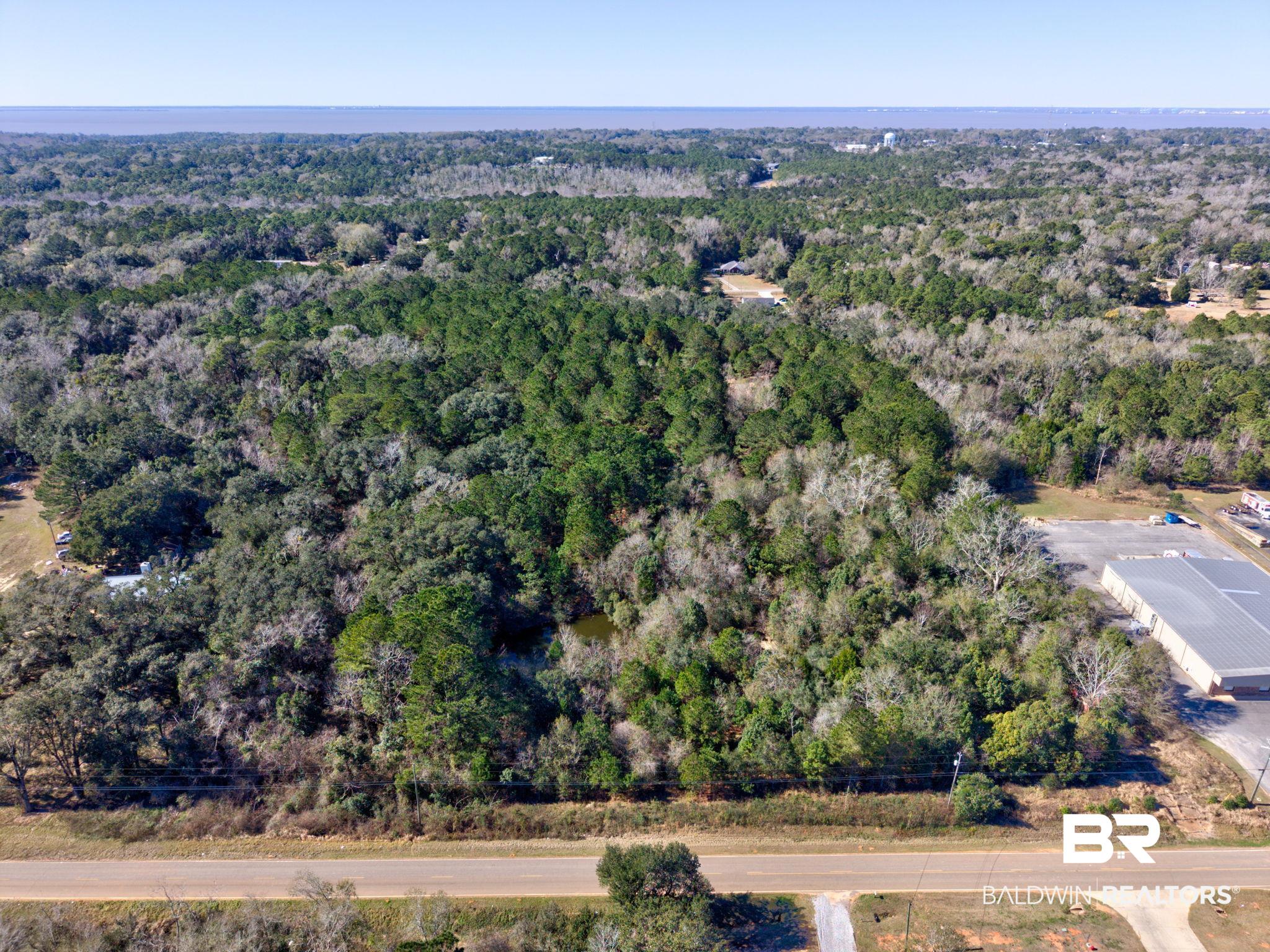 25280 Friendship Road Daphne, AL 36526 - Photo 30 of 34 Aerial view of property's location featuring a forest