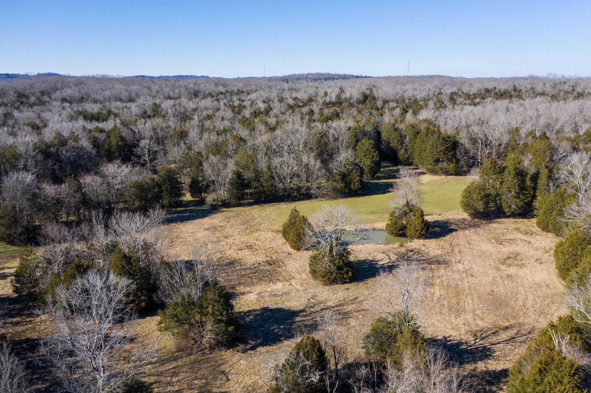 3 Arthur Hardison Road Columbia, TN 38401 - Photo 12 of 30 a view of lake view and mountain view