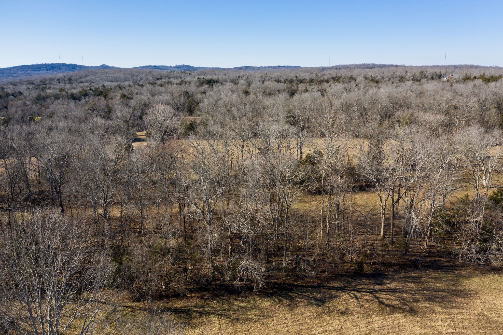 3 Arthur Hardison Road Columbia, TN 38401 - Photo 13 of 30 a view of a dry yard with trees