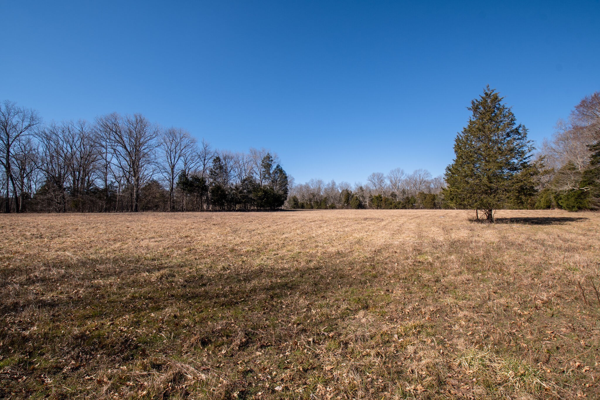 3 Arthur Hardison Road Columbia, TN 38401 - Photo 14 of 30 a view of outdoor space with green field and trees in the background