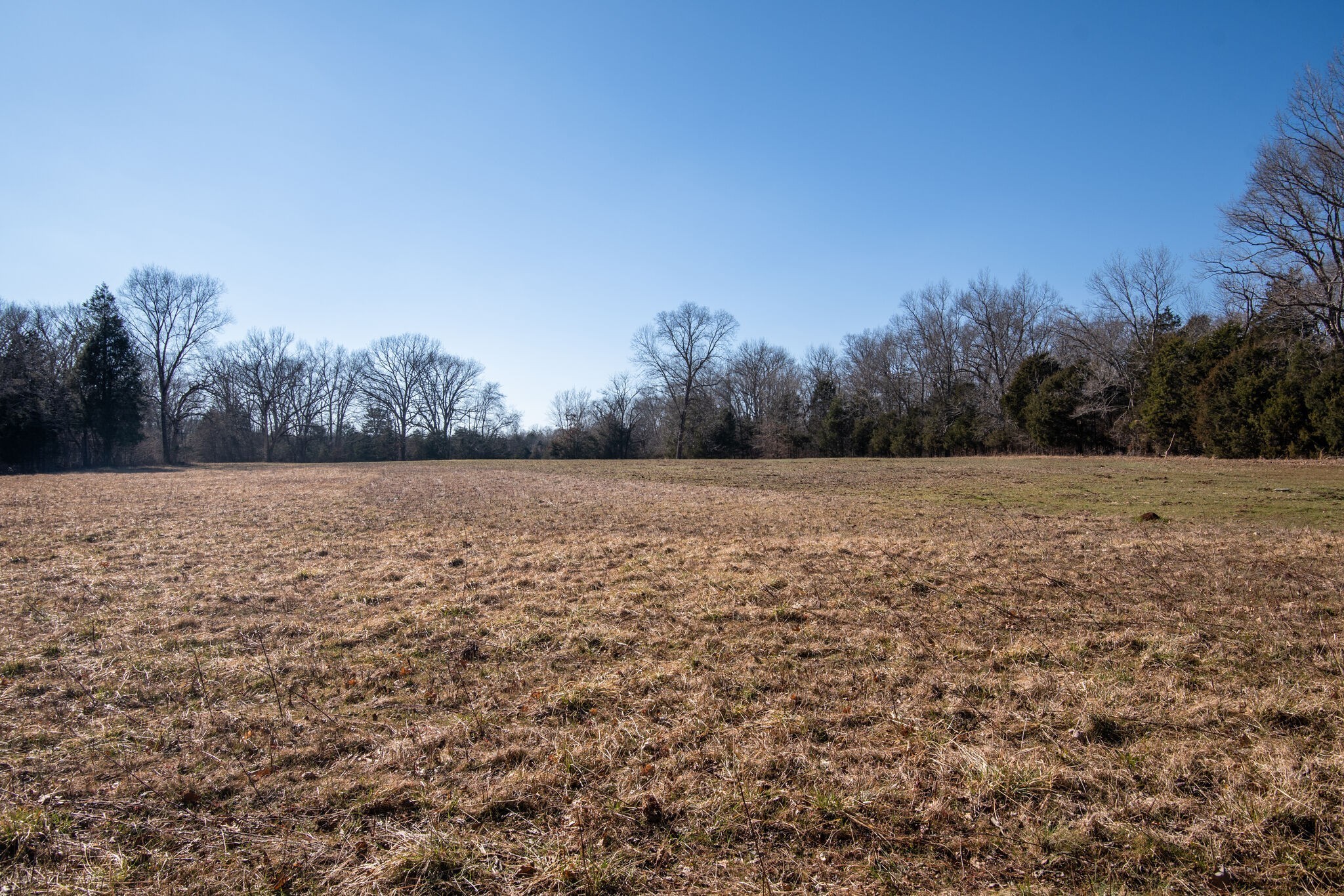 3 Arthur Hardison Road Columbia, TN 38401 - Photo 15 of 30 a view of a lake view