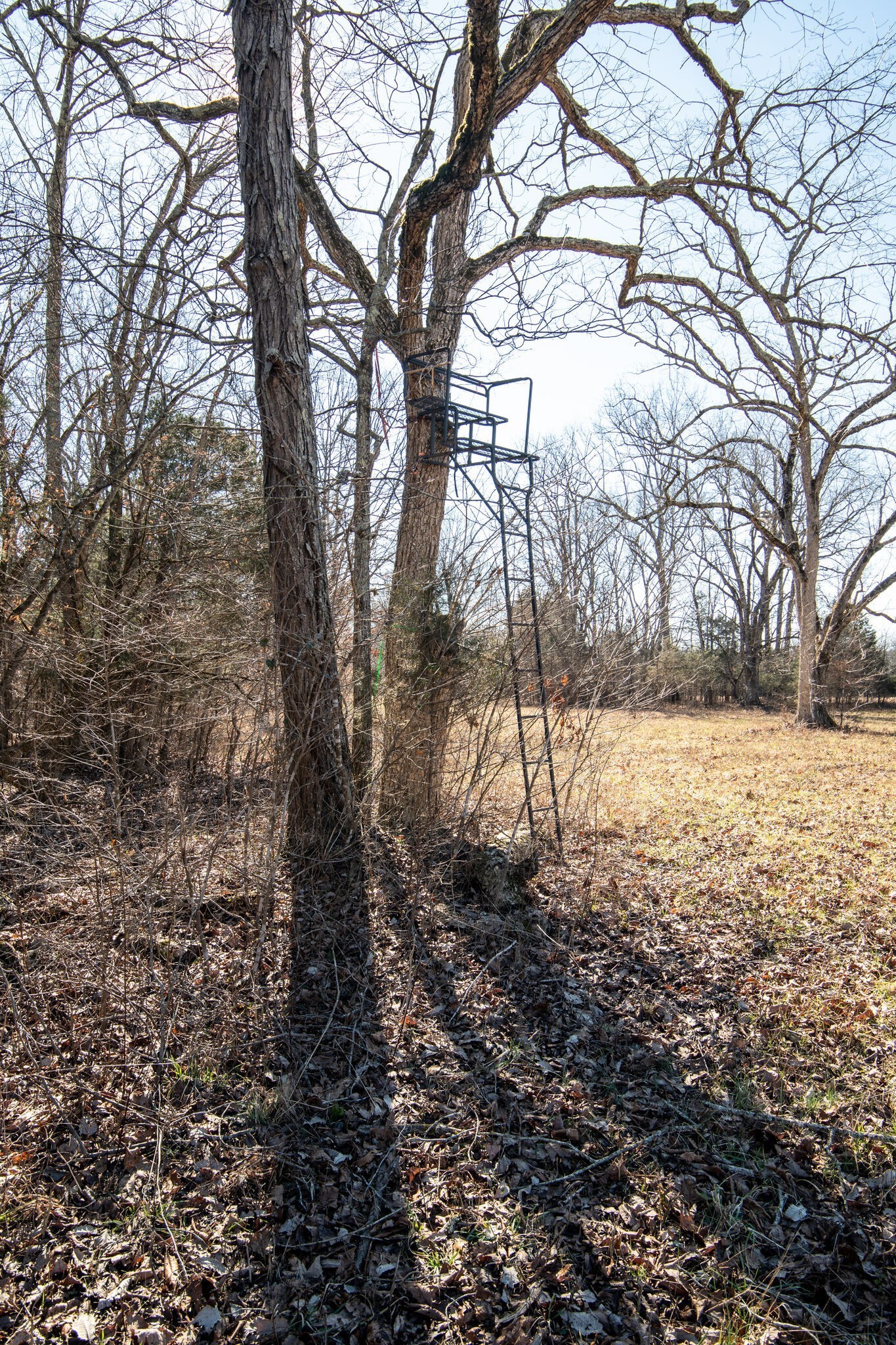 3 Arthur Hardison Road Columbia, TN 38401 - Photo 17 of 30