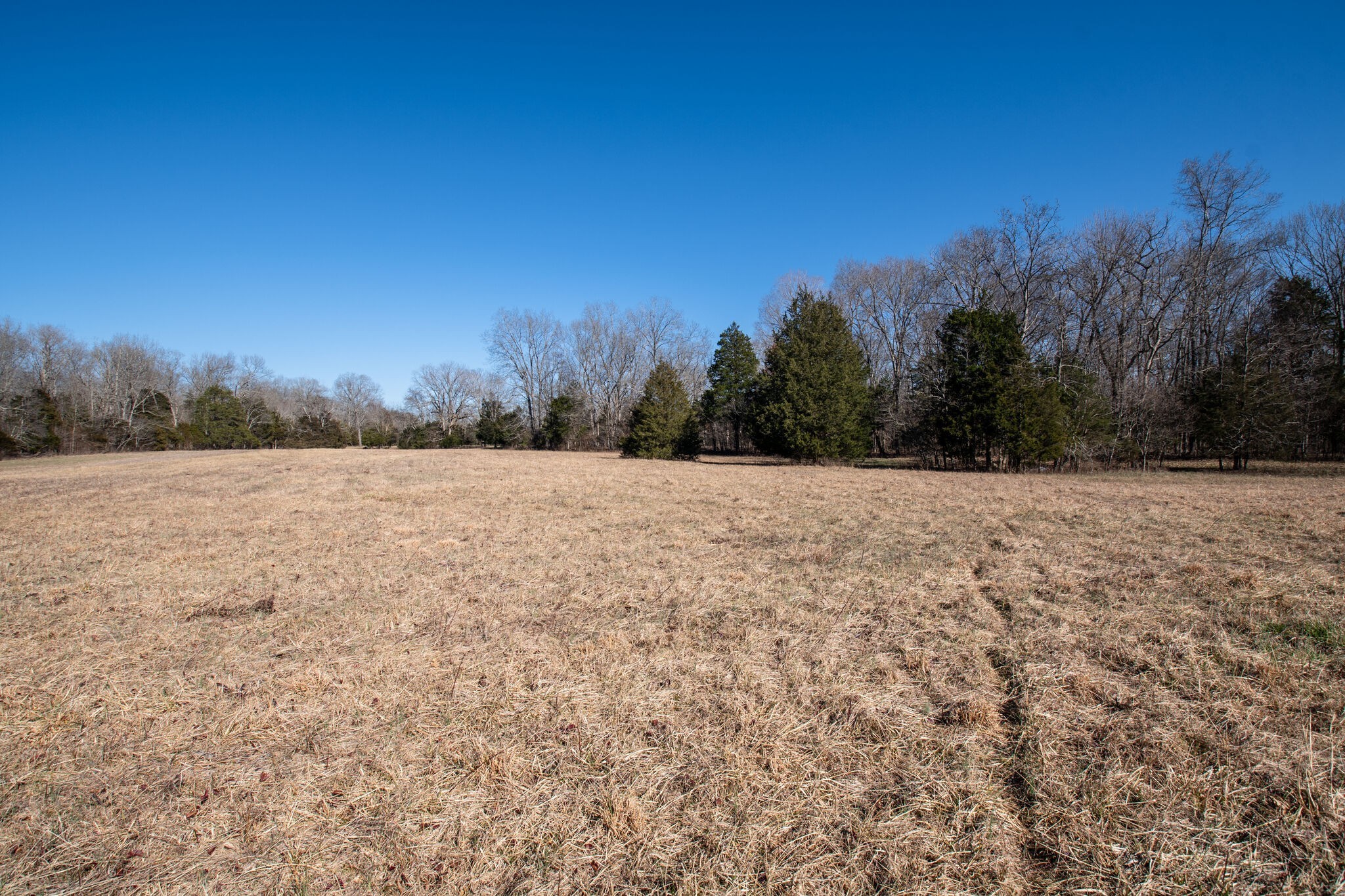 3 Arthur Hardison Road Columbia, TN 38401 - Photo 19 of 30 a view of a field with trees in the background