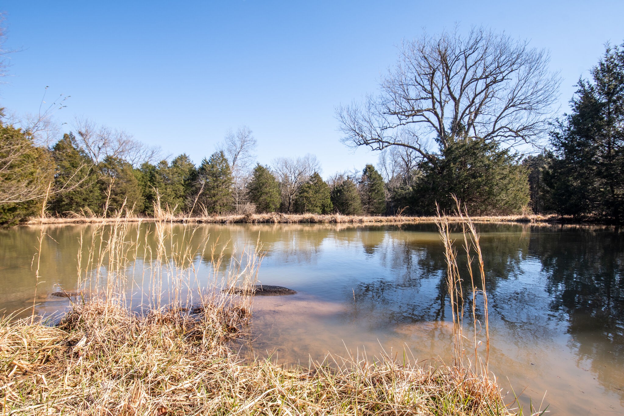 3 Arthur Hardison Road Columbia, TN 38401 - Photo 2 of 30 a lake view with a lake view