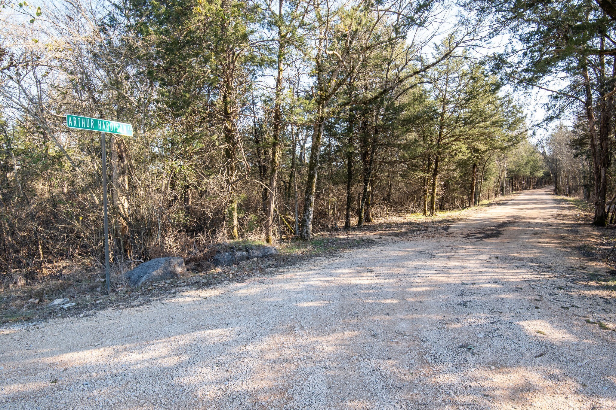 3 Arthur Hardison Road Columbia, TN 38401 - Photo 28 of 30 a view of dirt field with trees in the background