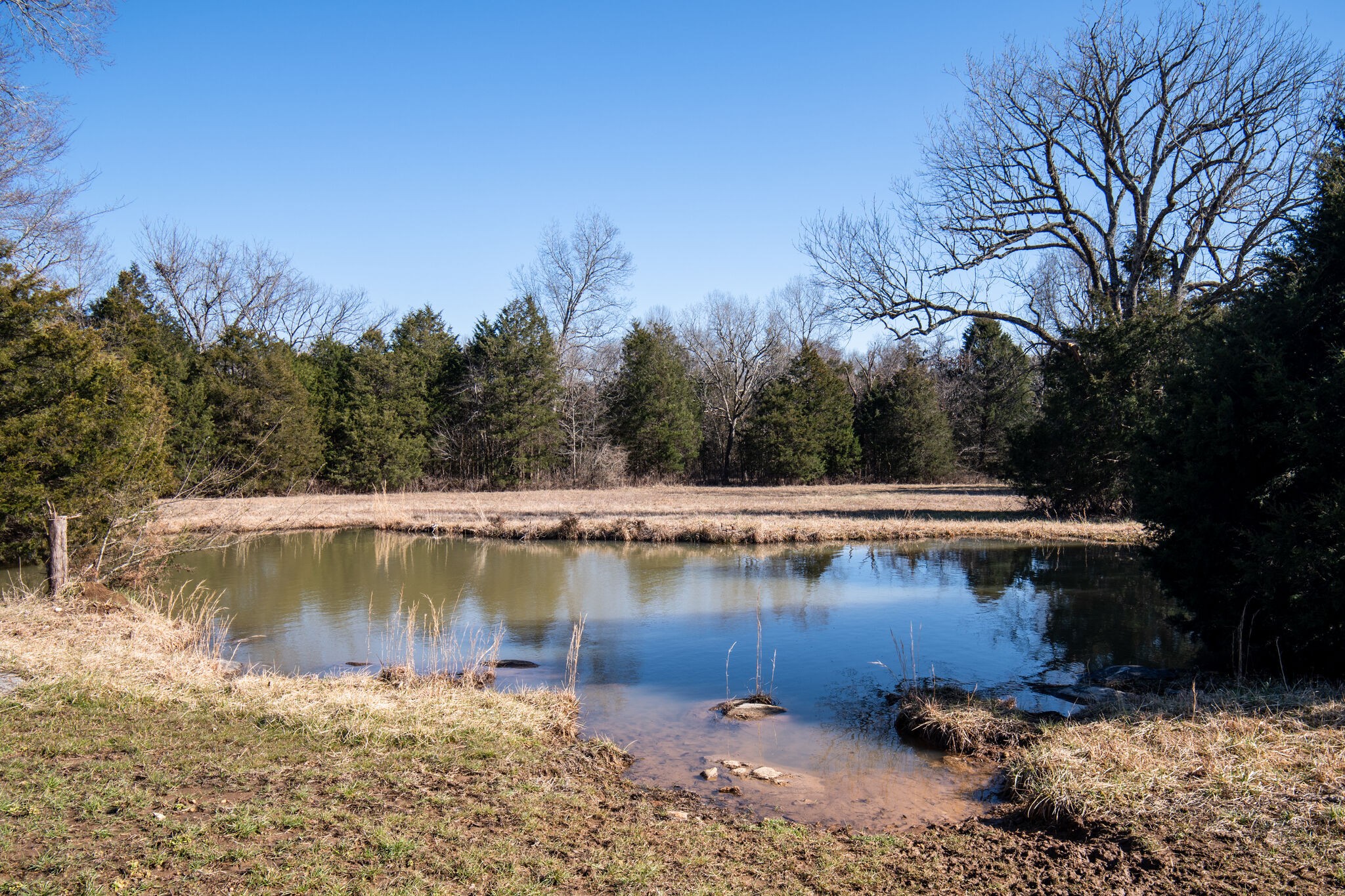3 Arthur Hardison Road Columbia, TN 38401 - Photo 29 of 30 a view of swimming pool with a yard