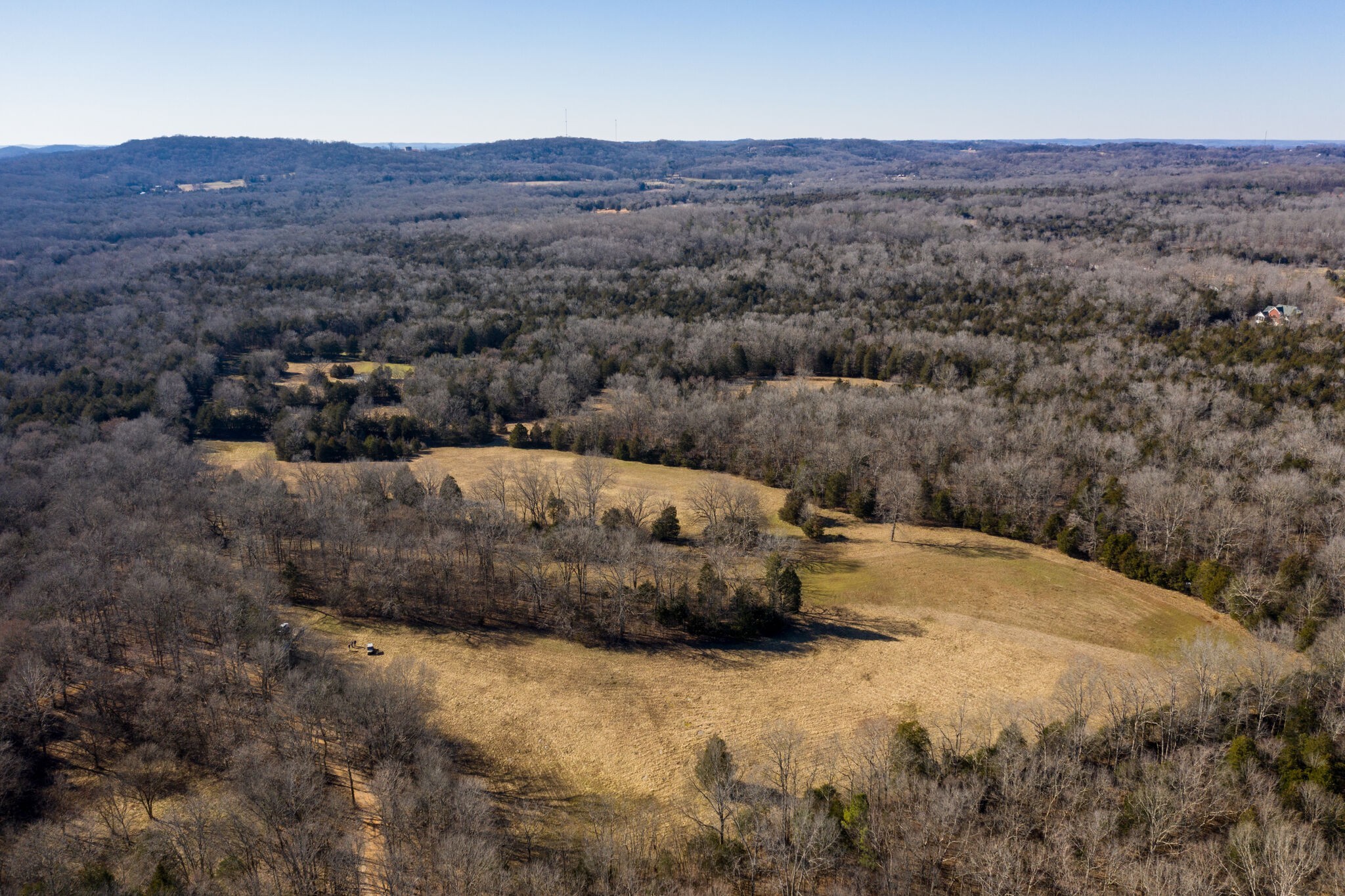 3 Arthur Hardison Road Columbia, TN 38401 - Photo 3 of 30 a view of a dry field