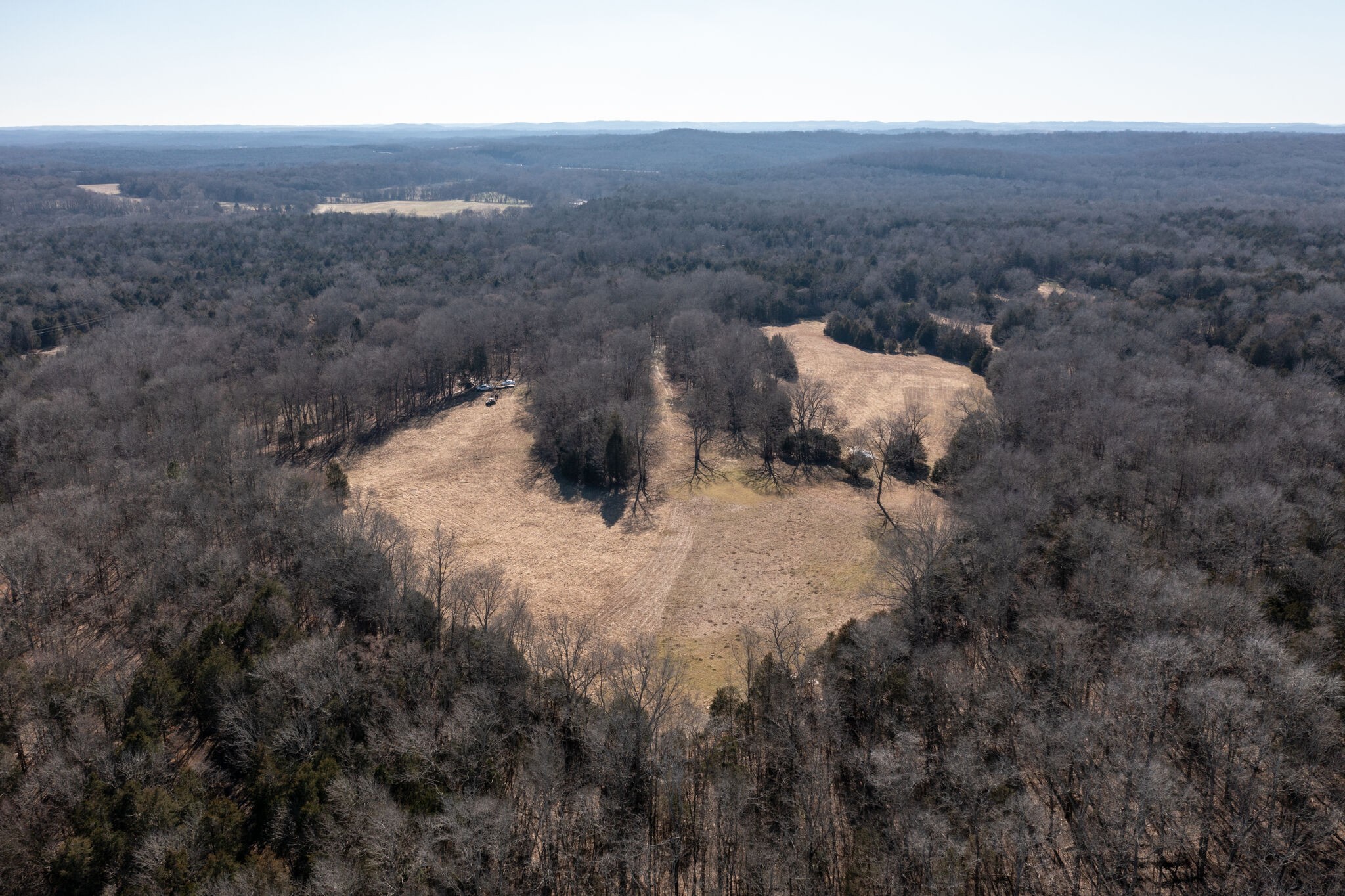 3 Arthur Hardison Road Columbia, TN 38401 - Photo 5 of 30 a view of a dry field with trees in background