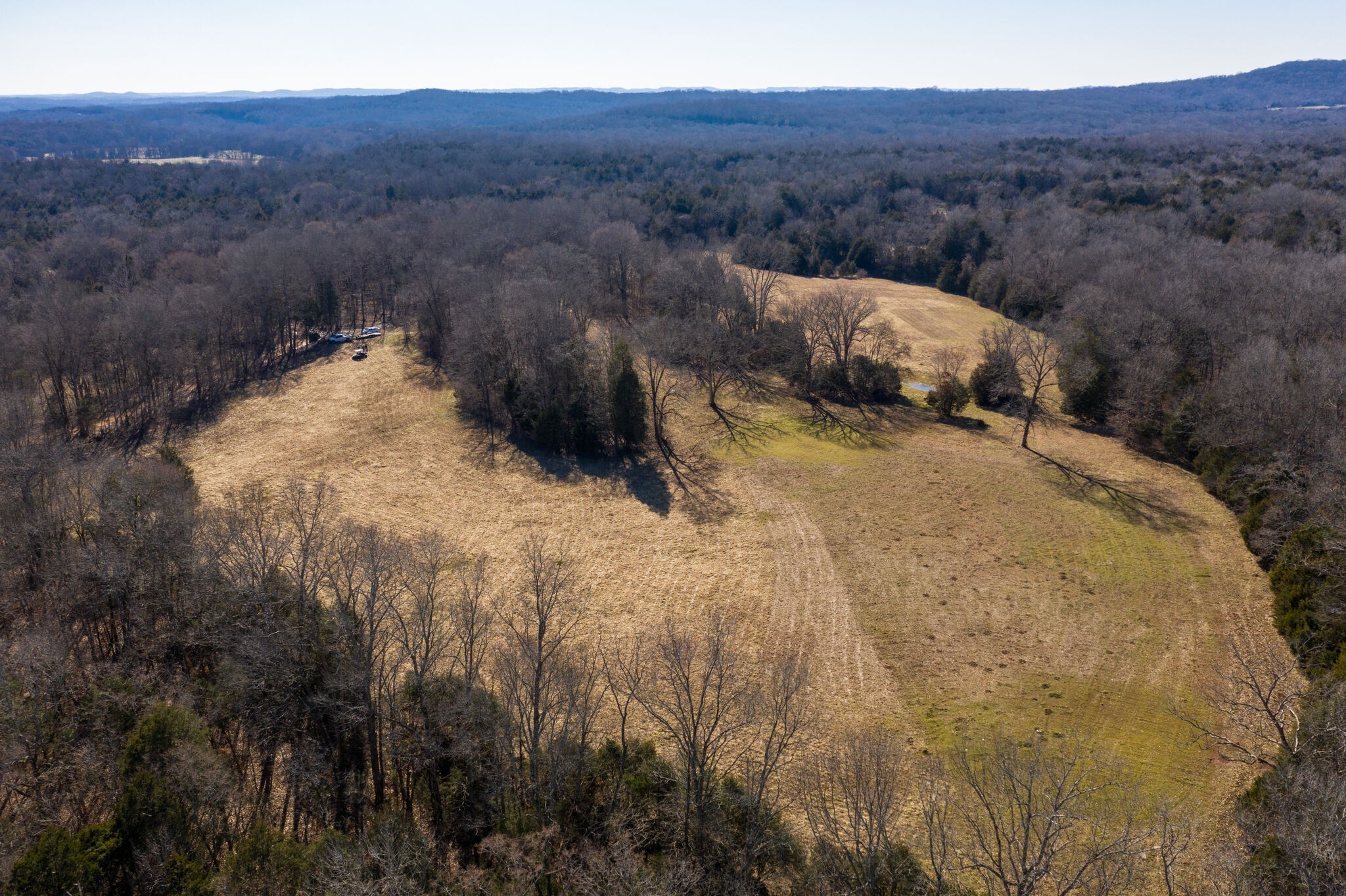 3 Arthur Hardison Road Columbia, TN 38401 - Photo 6 of 30 a view of a dry yard
