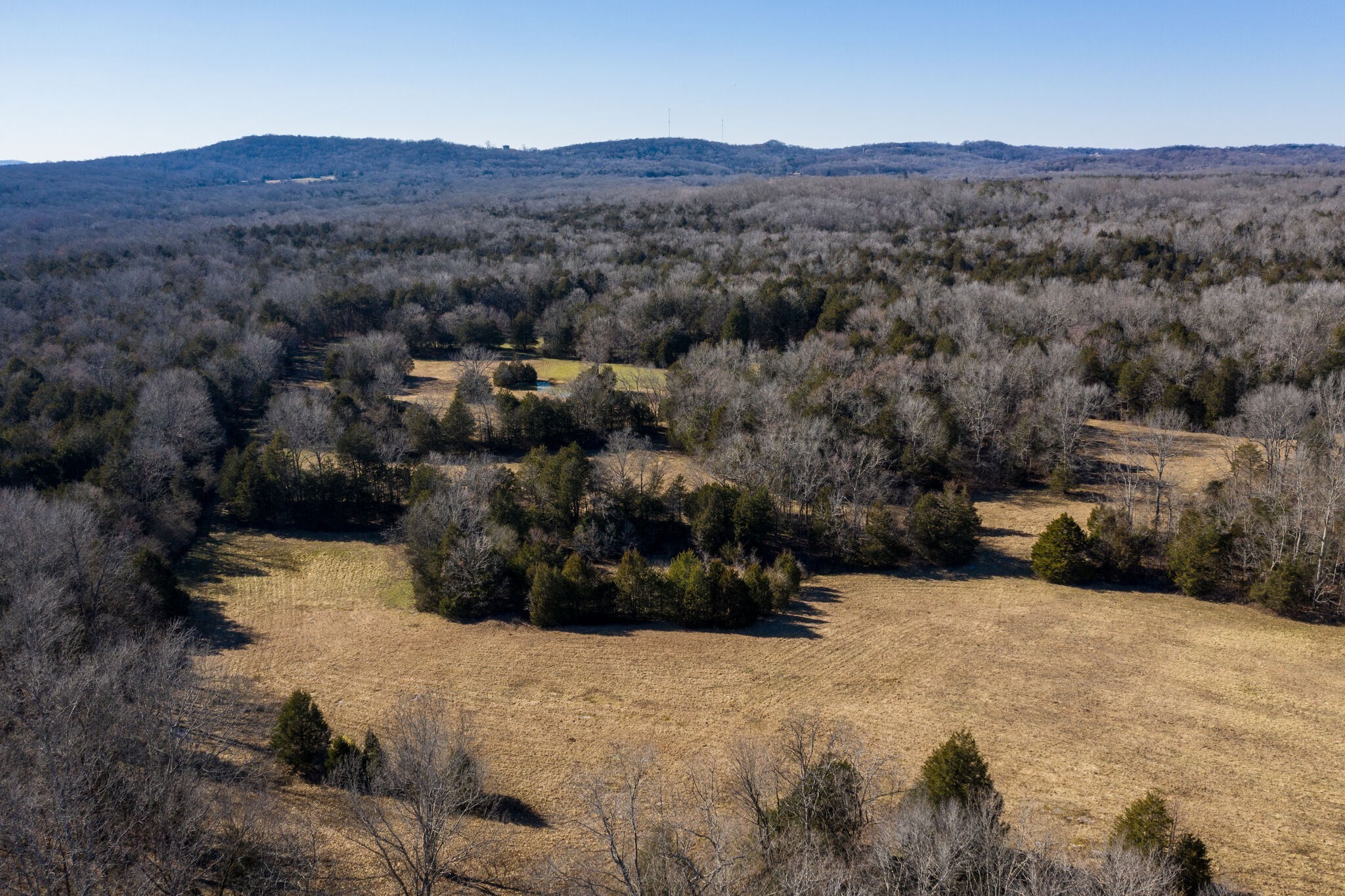 3 Arthur Hardison Road Columbia, TN 38401 - Photo 7 of 30 a view of a dry top field