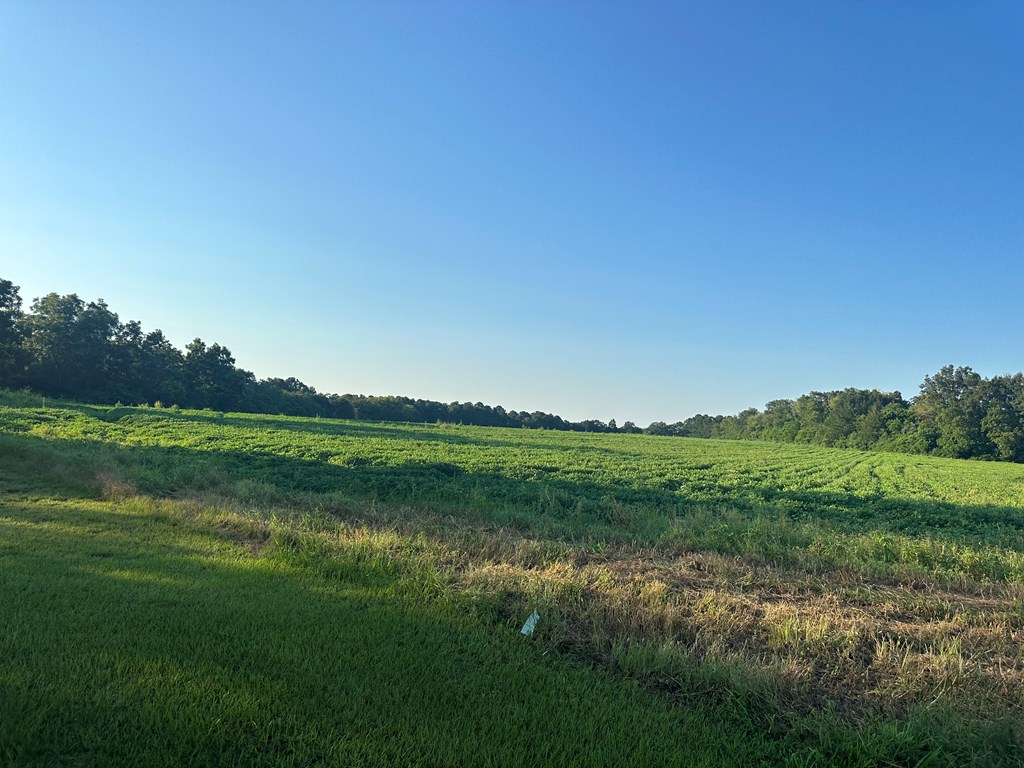 0 Judge Logue Road Newton, AL 36352 - Photo 4 of 4