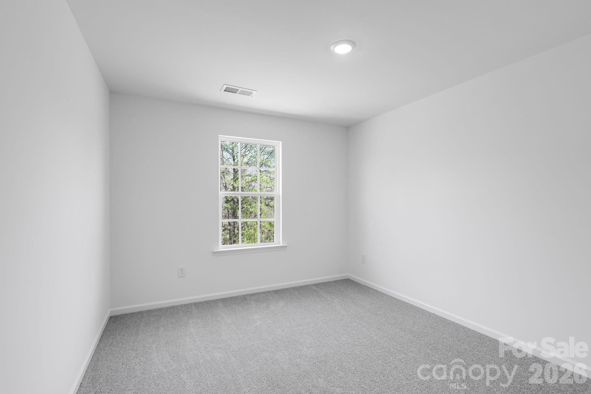 665 Sparano Loop York, SC 29745 - Photo 4 of 15