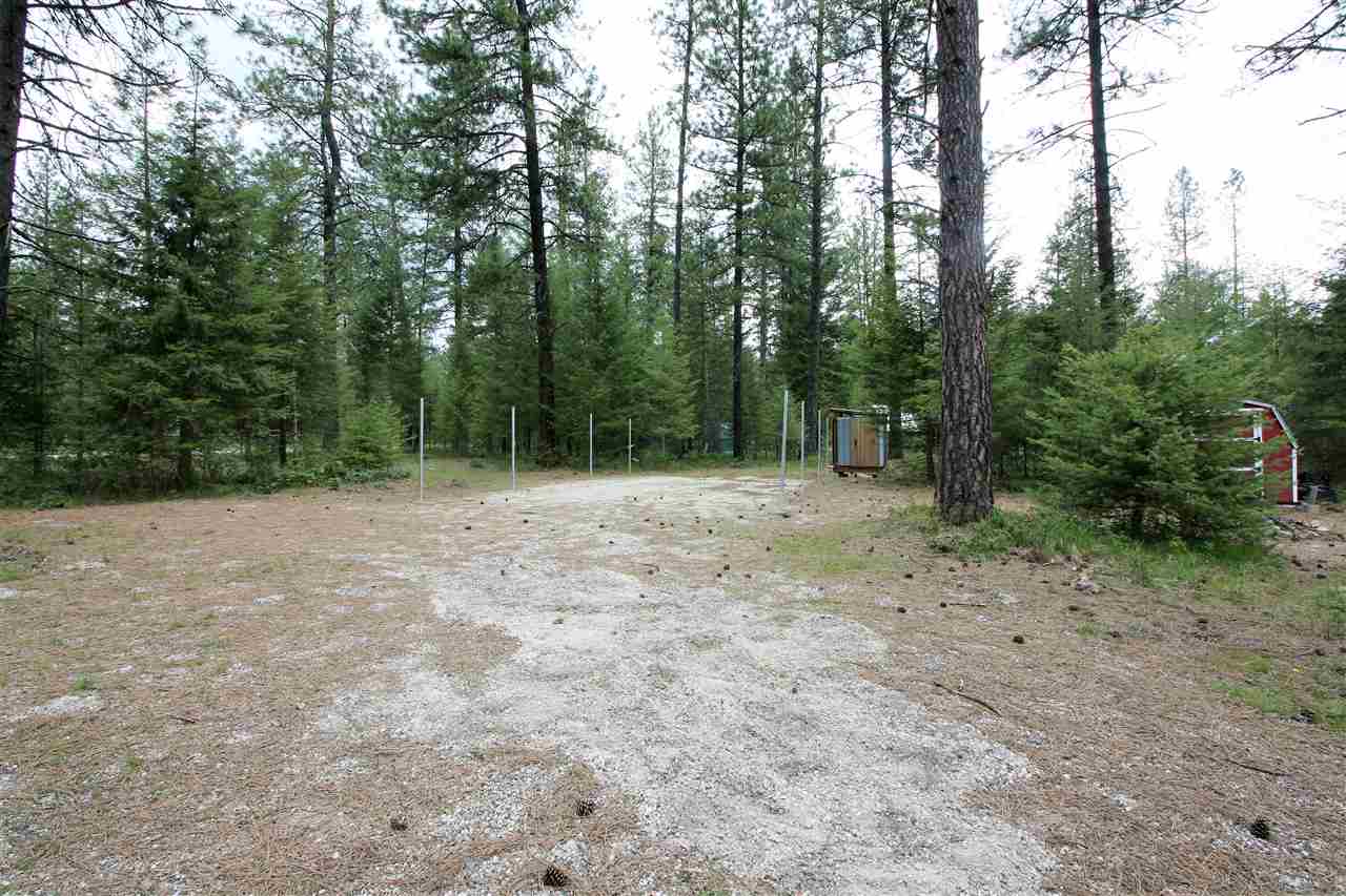 3798 Red Cedar Road Loon Lake, WA 99148 - Photo 11 of 20 Gallery Image 11