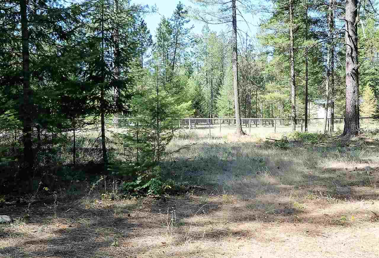 3798 Red Cedar Road Loon Lake, WA 99148 - Photo 12 of 20 Gallery Image 12