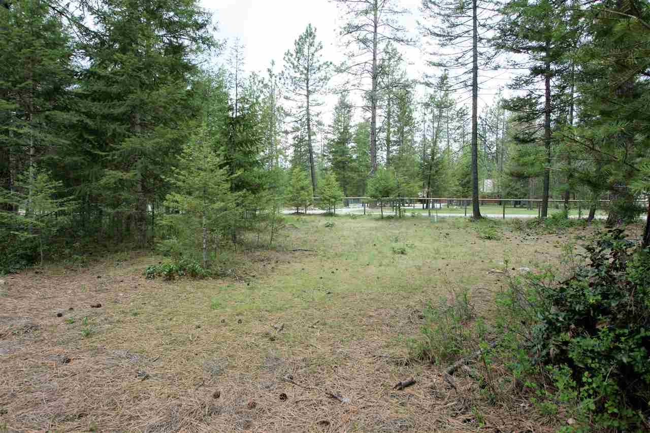 3798 Red Cedar Road Loon Lake, WA 99148 - Photo 13 of 20 Gallery Image 13