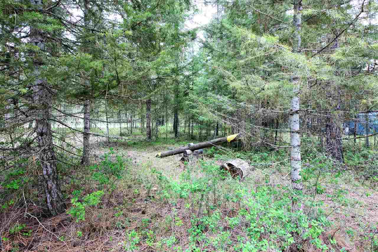 3798 Red Cedar Road Loon Lake, WA 99148 - Photo 16 of 20 Gallery Image 16