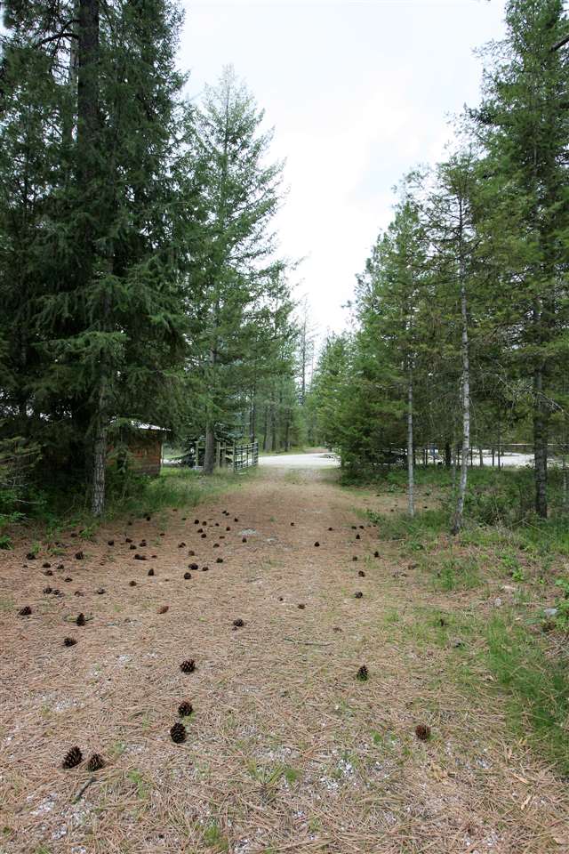 3798 Red Cedar Road Loon Lake, WA 99148 - Photo 17 of 20 Gallery Image 17