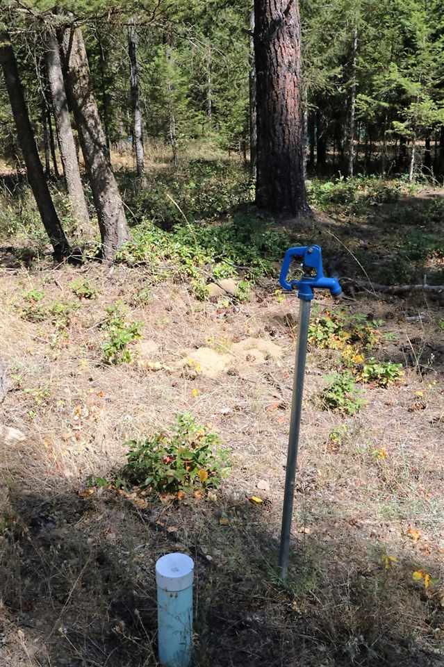3798 Red Cedar Road Loon Lake, WA 99148 - Photo 18 of 20 Gallery Image 18