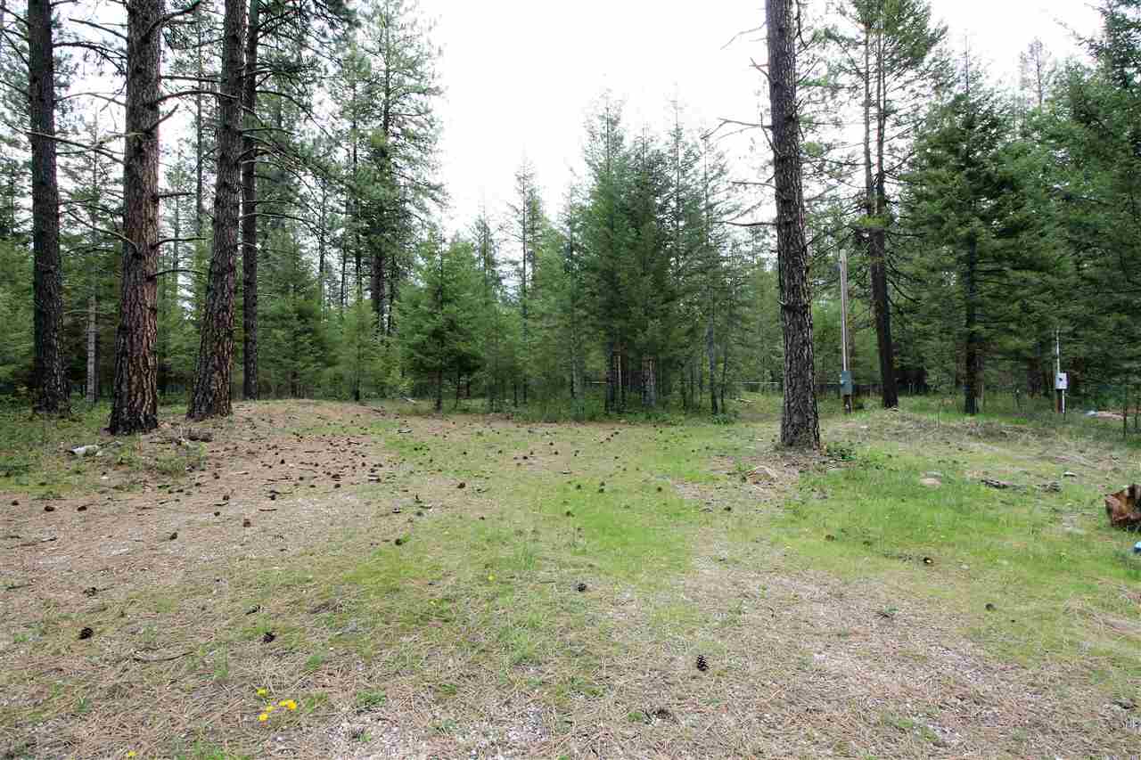 3798 Red Cedar Road Loon Lake, WA 99148 - Photo 3 of 20 Gallery Image 3