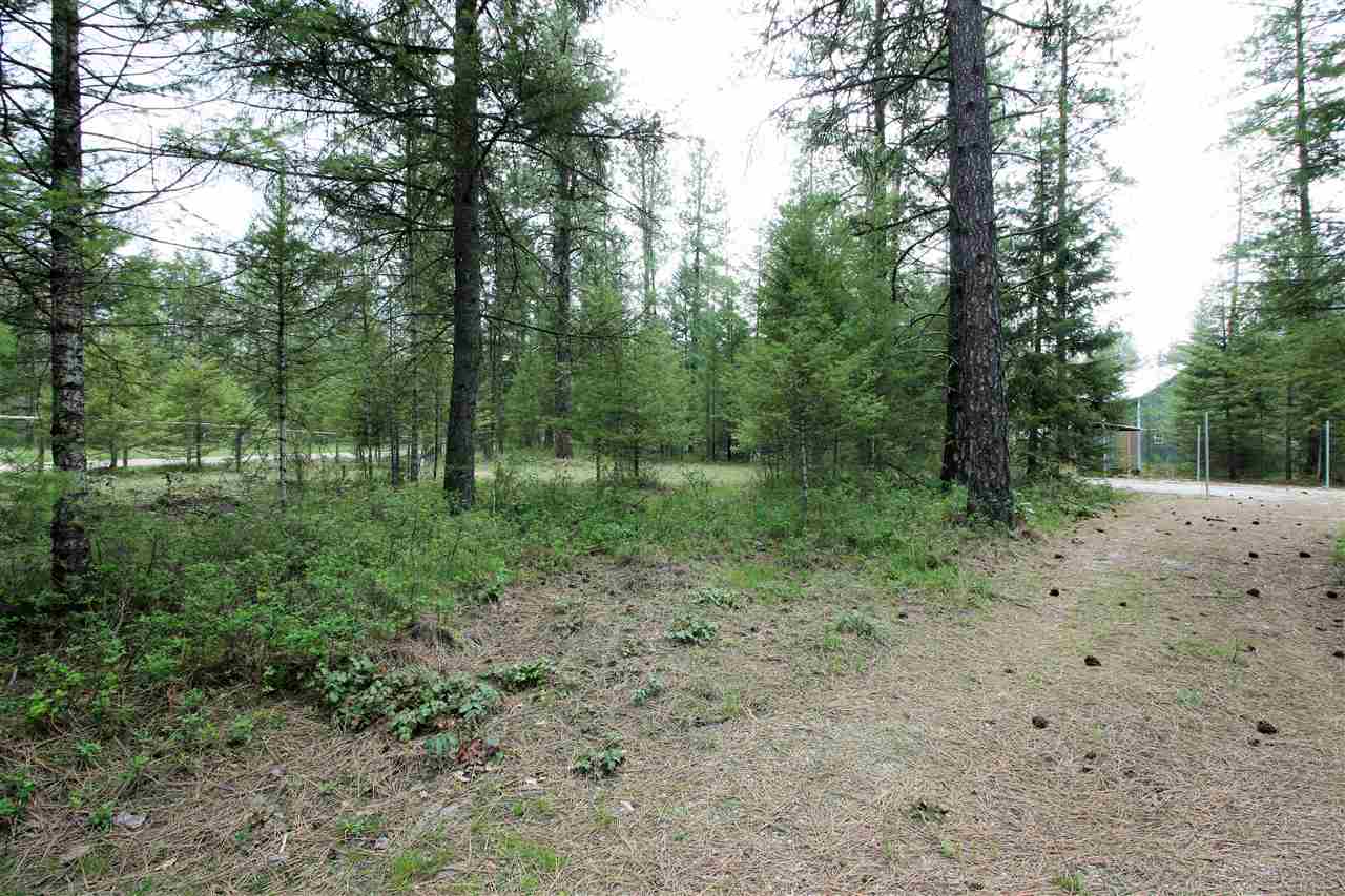 3798 Red Cedar Road Loon Lake, WA 99148 - Photo 4 of 20 Gallery Image 4