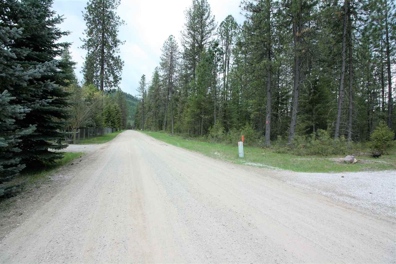3798 Red Cedar Road Loon Lake, WA 99148 - Photo 5 of 20 Gallery Image 5