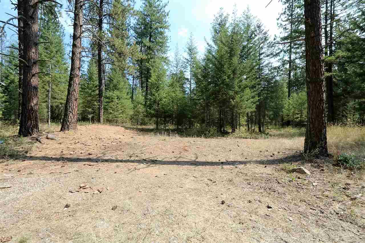 3798 Red Cedar Road Loon Lake, WA 99148 - Photo 10 of 20 Gallery Image 10