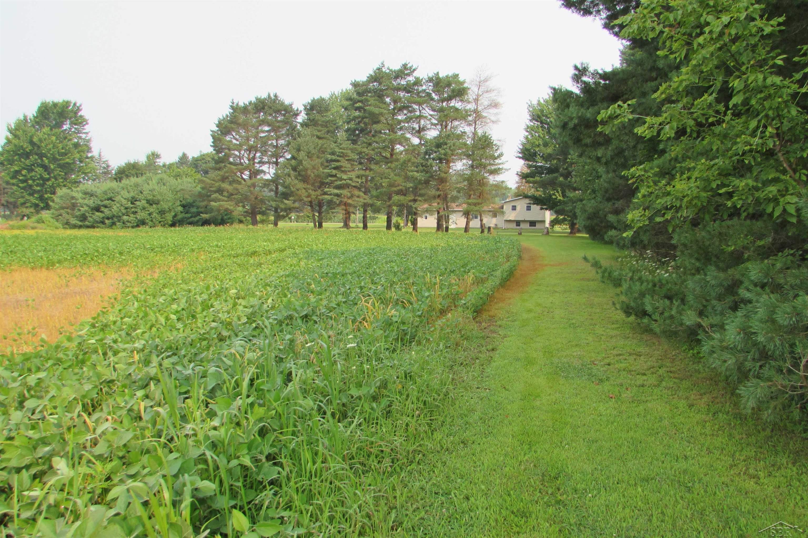 3561 Chesaning Road Chesaning, MI 48616 - Photo 12 of 37 50184040-eabcdb1d-788b-44be-9645-fd750099e416.JPG