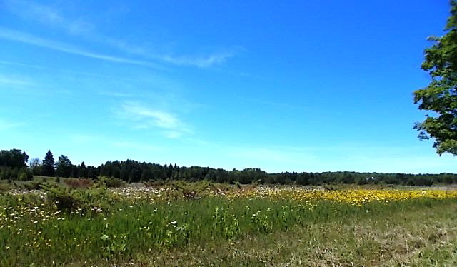 T/b/d Summach Road Baileys Harbor, WI 54202 - Photo 1 of 1