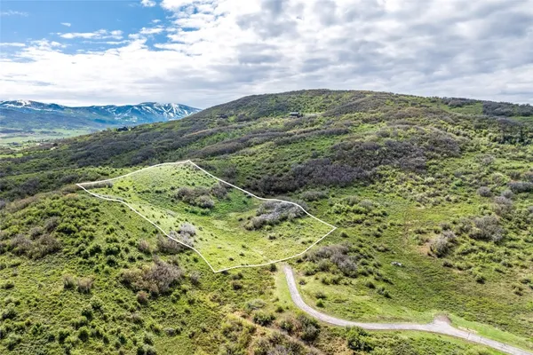 a view of a pathway both side of grassy field with shrub