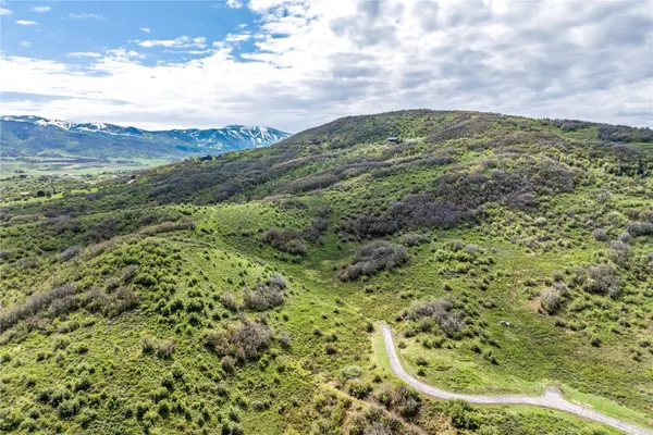 a view of a green field