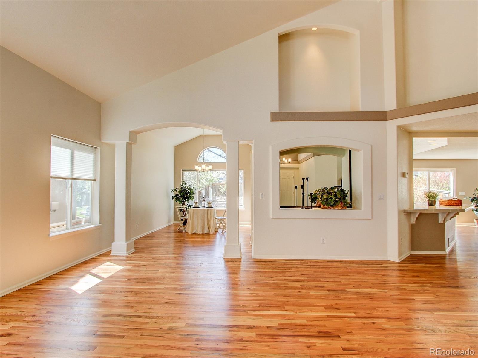 10163 Alexa Lane Highlands Ranch, CO 80130 - Photo 3 of 23 Gallery Image 3