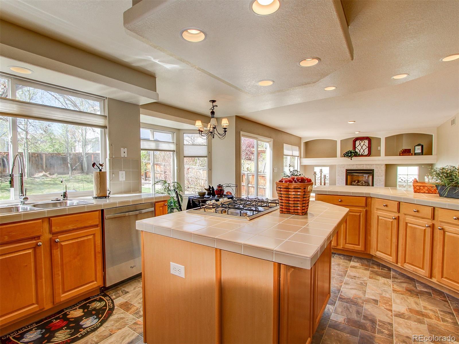 10163 Alexa Lane Highlands Ranch, CO 80130 - Photo 8 of 23 Gallery Image 8