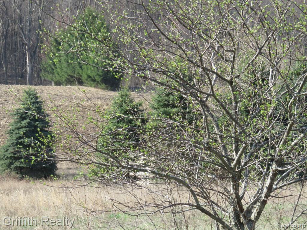 20563 Wasson Road Pinckney, MI 48169 - Photo 41 of 44 Pretty pretty, one should hurry.