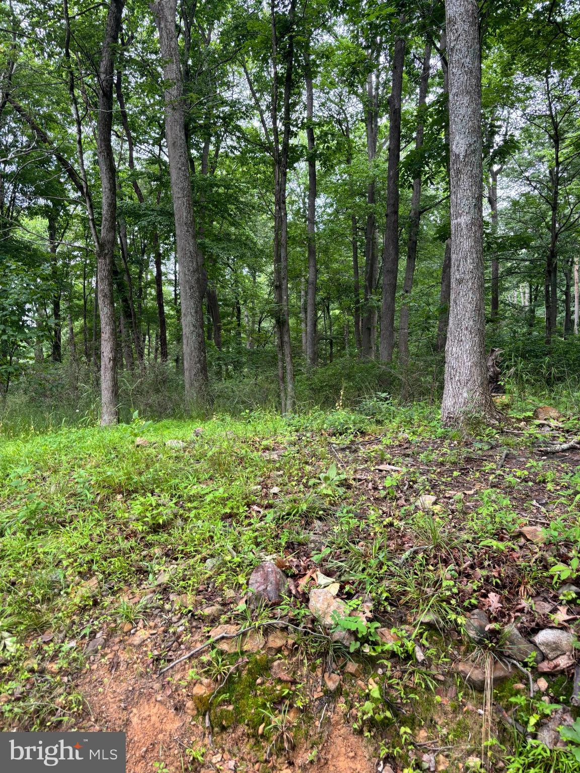 251 Riffey Mountain Lane Mathias, WV 26812 - Photo 32 of 33
