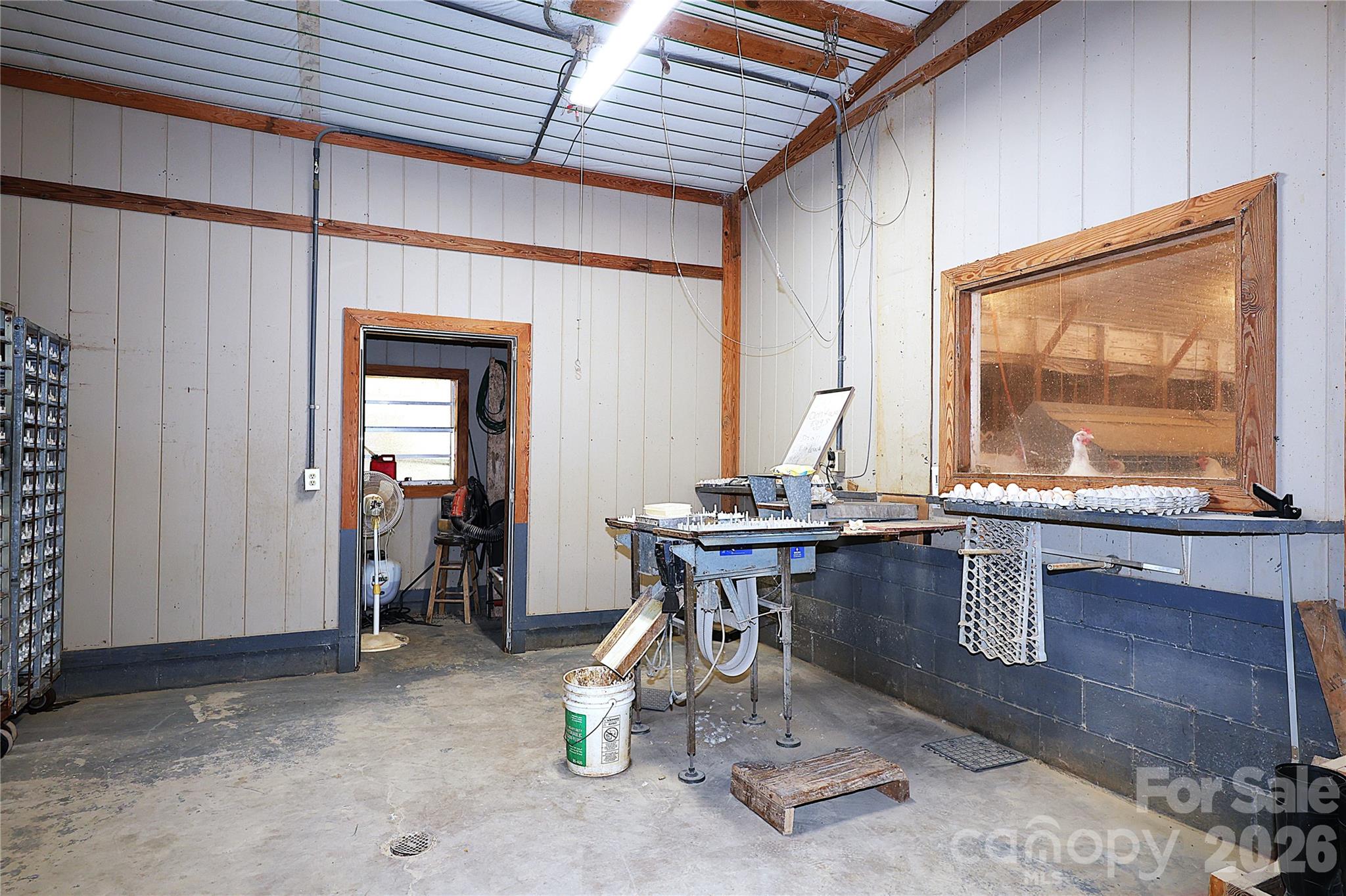 2121 Whitetail Road Blackville, SC 29817 - Photo 16 of 40