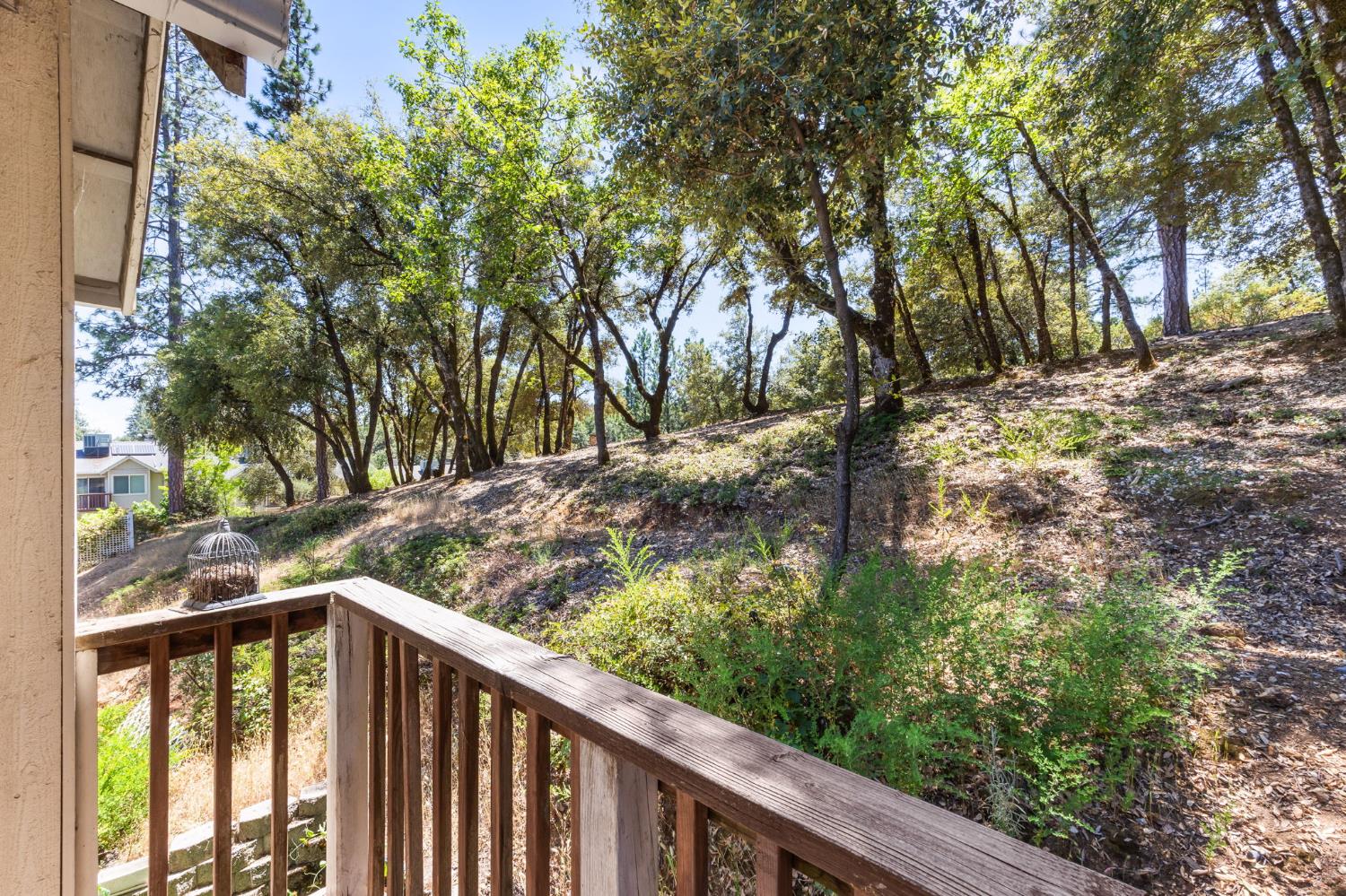 1392 Oak Ridge Drive Colfax, CA 95713 - Photo 33 of 44