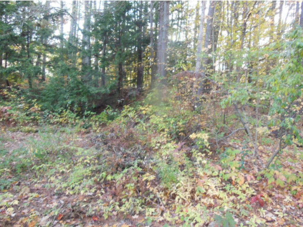7 Gilman Shore Road Belmont, NH 03220 - Photo 8 of 15