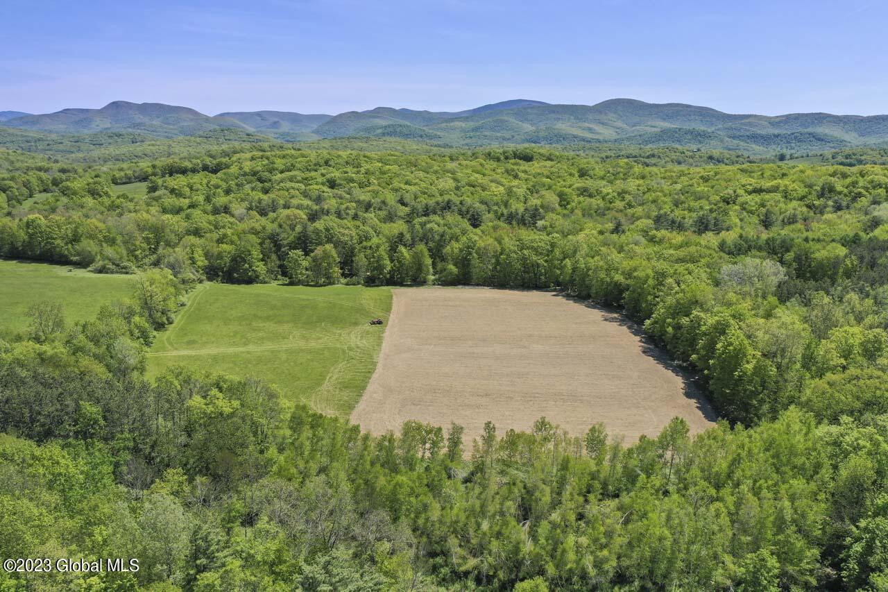 1032 Bogtown Road Hebron, NY 12865 - Photo 13 of 59 63-DJI_0214