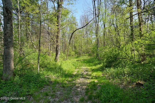 $1,850,000 | 1032 Bogtown Road, Hebron, NY 12865