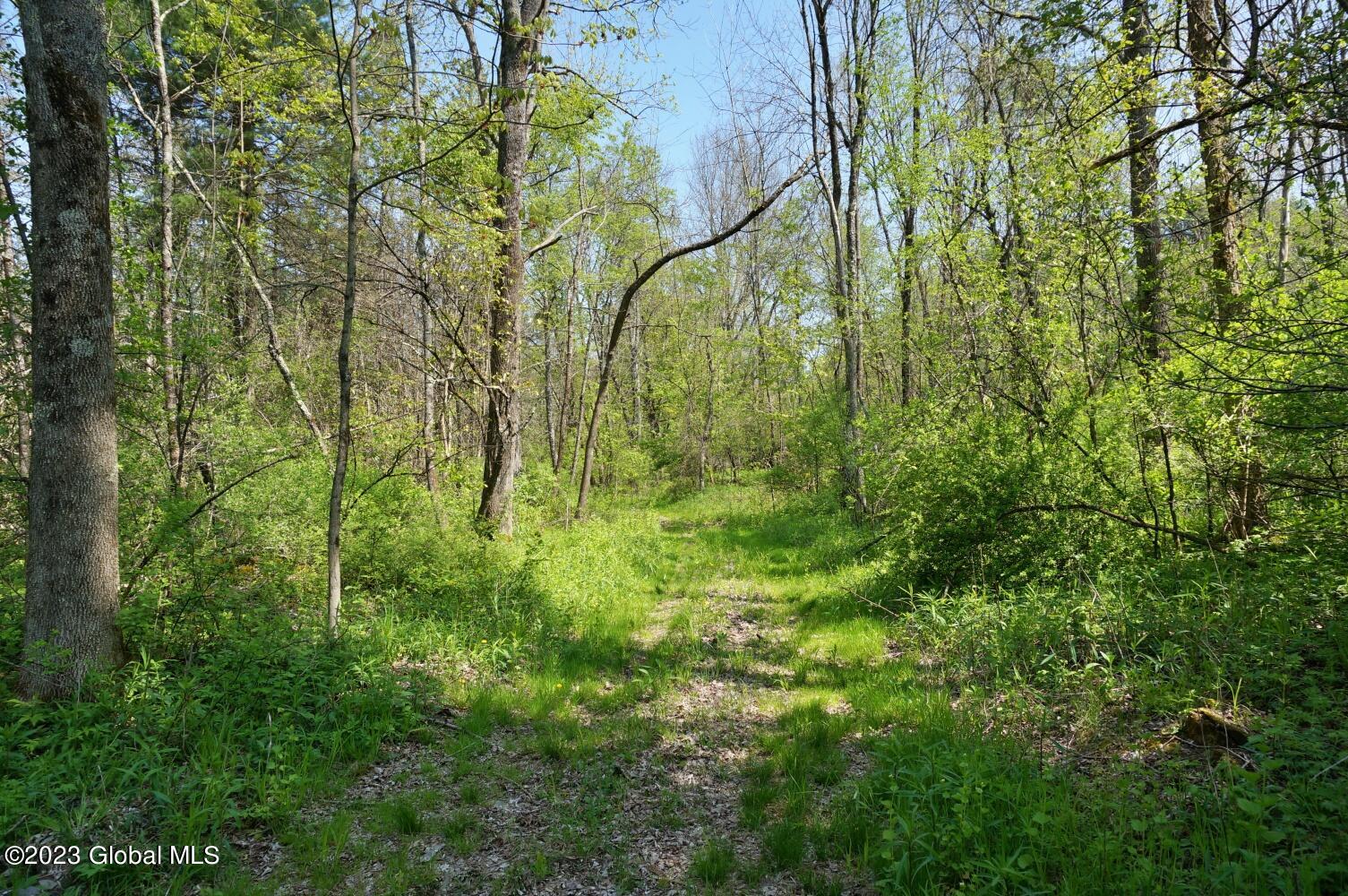 1032 Bogtown Road Hebron, NY 12865 - Photo 46 of 59 DSC06328