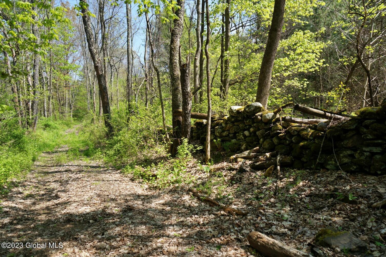1032 Bogtown Road Hebron, NY 12865 - Photo 47 of 59 DSC06330