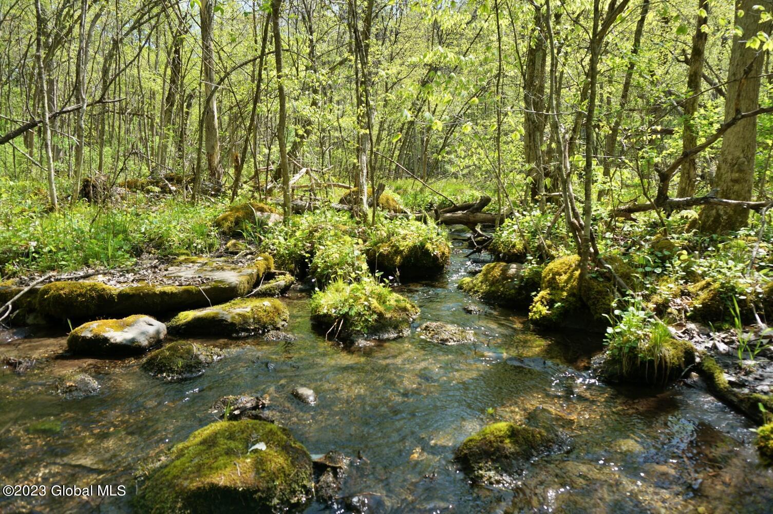 1032 Bogtown Road Hebron, NY 12865 - Photo 50 of 59 DSC06334