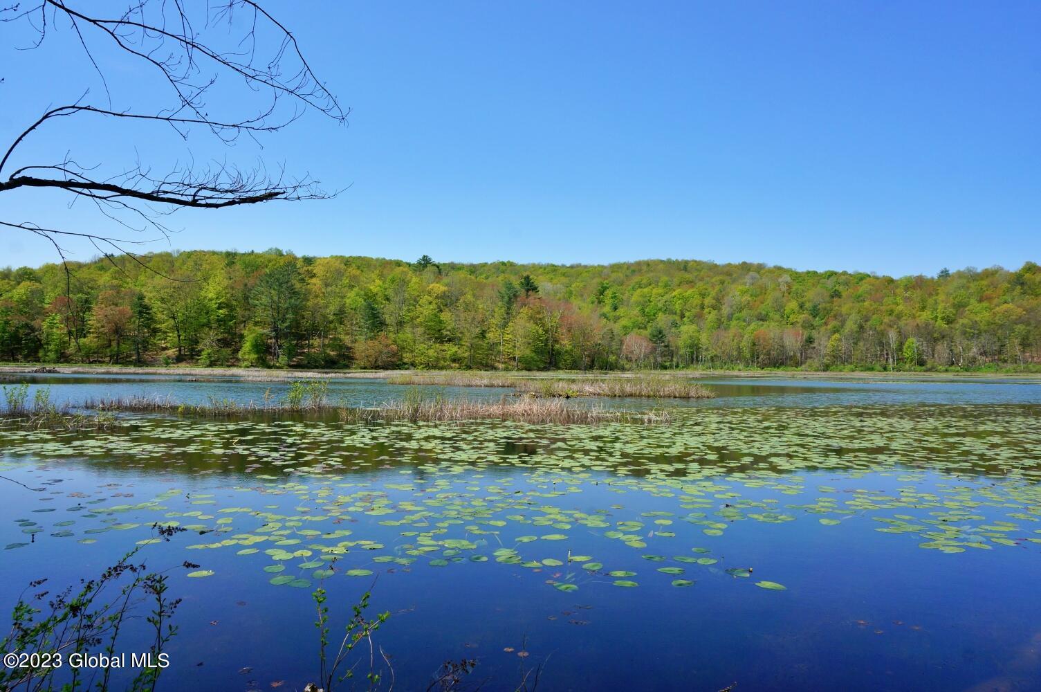 1032 Bogtown Road Hebron, NY 12865 - Photo 53 of 59 DSC06339