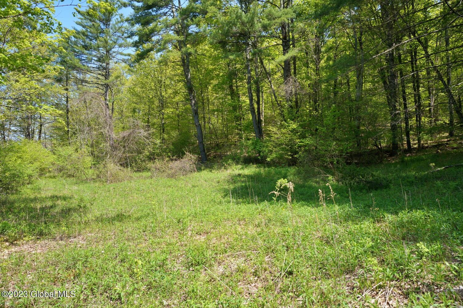 1032 Bogtown Road Hebron, NY 12865 - Photo 56 of 59 DSC06347