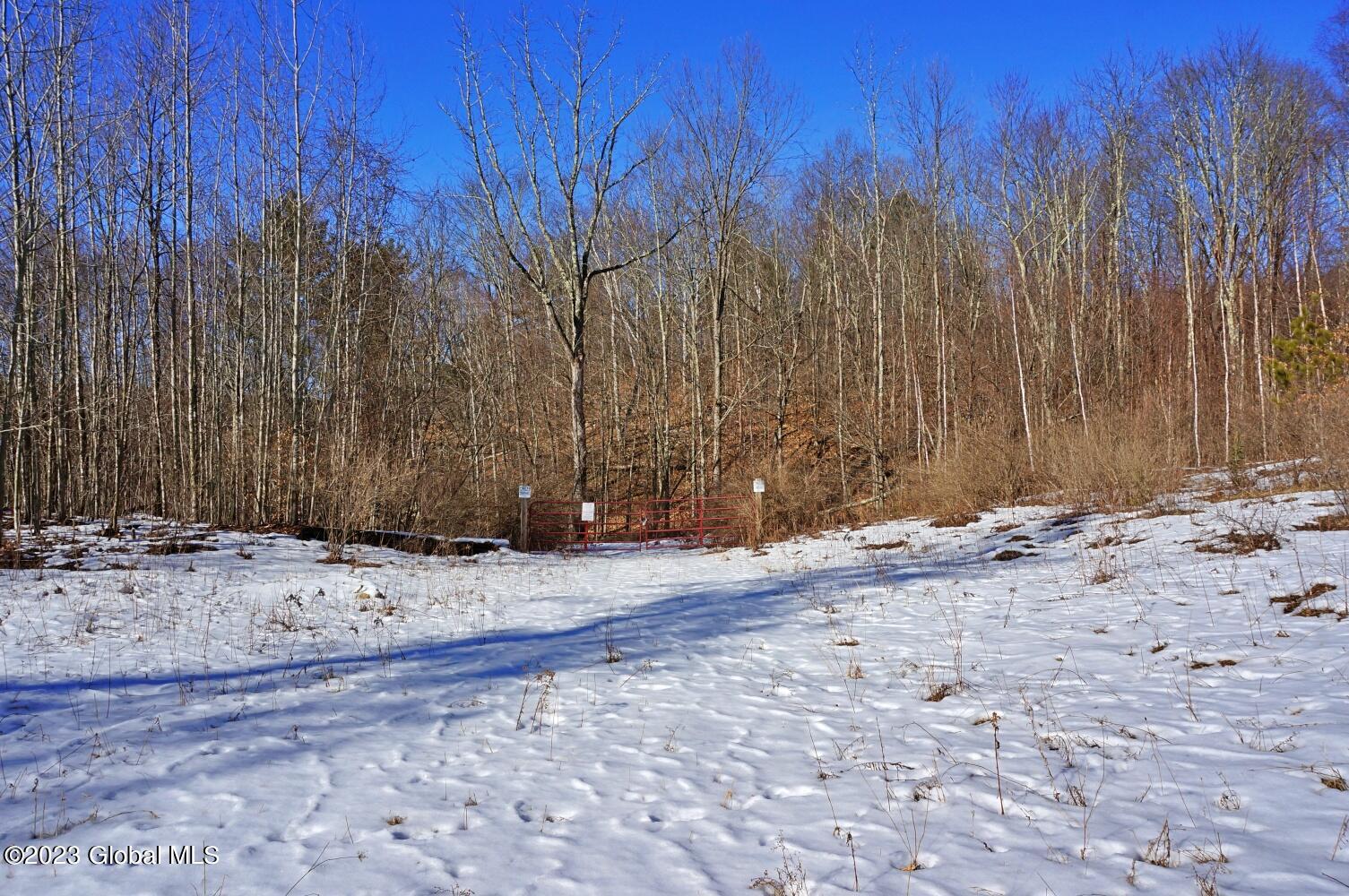 1032 Bogtown Road Hebron, NY 12865 - Photo 57 of 59 DSC06058