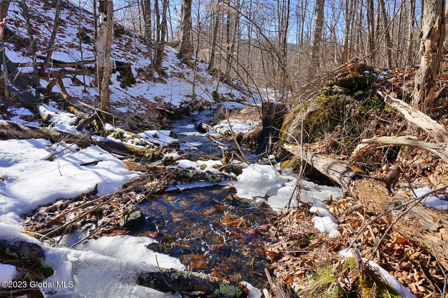 1032 Bogtown Road Hebron, NY 12865 - Photo 59 of 59 DSC06063