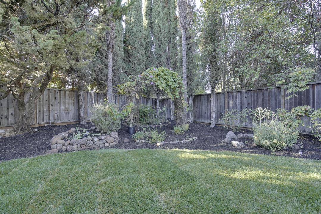 2576 Toltec Circle San Ramon, CA 94583 - Photo 29 of 37 a view of a backyard with plants and large trees with wooden fence